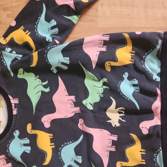 Dinosaur Sweater - Picture 2 of 3